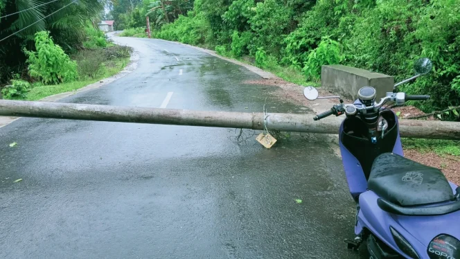 
Foto : Tiang Listrik Roboh di desa Nahi, Kecamatan Sulabesi Barat. (doc : Padon)