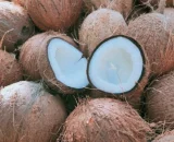 Keren! Ternyata ini Manfaat Buah Kelapa Tua untuk Kesehatan Tubuh