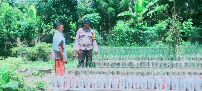 
Foto: Bhabinkamtibmas Desa Fogi, Kecamatan Sanana, Bripka Erwin Faray, saat menyambangi petani di kebun. (doc: Humas)