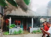 Rumah Warga Kepulauan Sula Hangus Dilahap Si Jago Merah