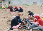 Dukung Program Nasional, Warga Diajak Tanam Cabai di Pekarangan