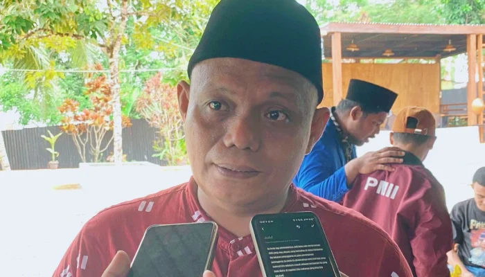 Dorong revisi UU Pemilu