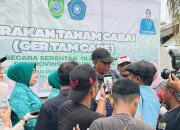 Pemda Sula Incar Nilai Tambah Lewat Hilirisasi Komoditas Pertanian