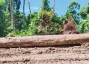 Lahan Petani Disikat, Warga Capalulu Desak DPRD Malut Bongkar Dugaan Pembalakan Liar Perusahaan