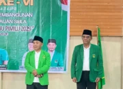 Dua Kandidat Berebut Kursi Ketua DPC PPP Sula, Klaim Dukungan Menguat