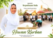 Bupati Sula Pantau Penyembelihan Hewan Kurban di Sejumlah Titik Kota Sanana