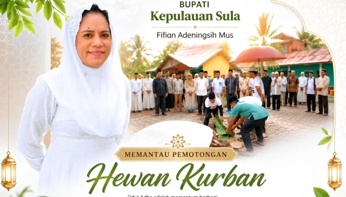 Bupati Sula Pantau Penyembelihan Hewan Kurban di Sejumlah Titik Kota Sanana