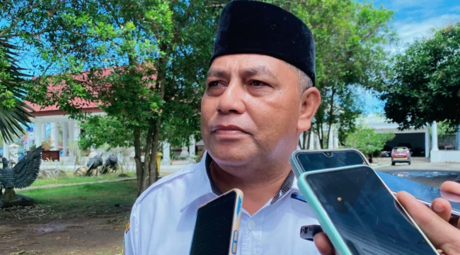 Foto: Sekretaris Daerah Kepulauan Sula, Muhlis Soamole. (doc: bacaritamalut.com)