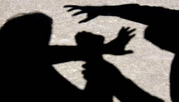 Dugaan Pencabulan dan Coba Perkosa IRT