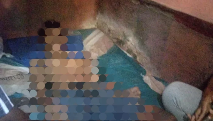 Seorang Pelajar 17 Tahun di Kepulauan Sula, Ditemukan Tak Bernyawa di Kamar